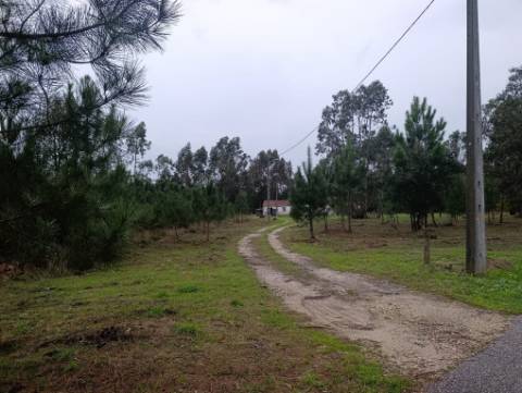 Terreno Disponível para Habitação ou Industria