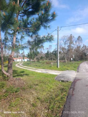 Terreno Disponível para Habitação ou Industria