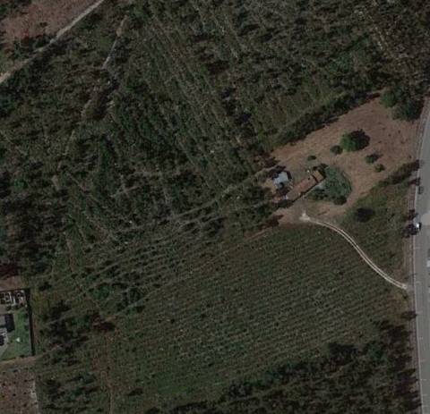 Terreno Disponível para Habitação ou Industria