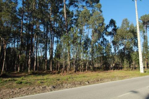 Terreno Rústico c/ 11000 m2