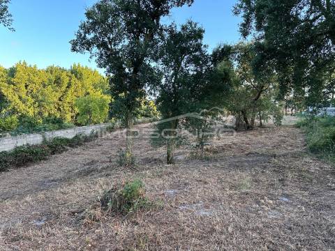 Terreno