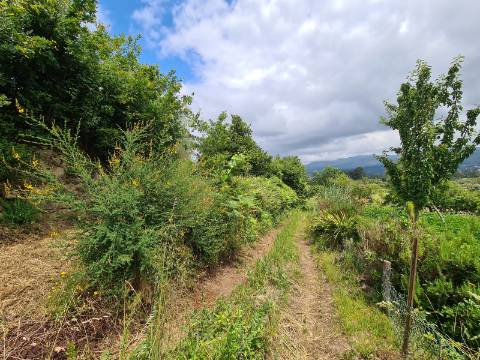 Terreno Rustico