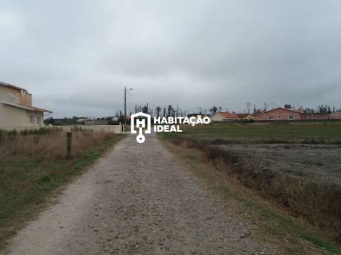 Lote de Terreno