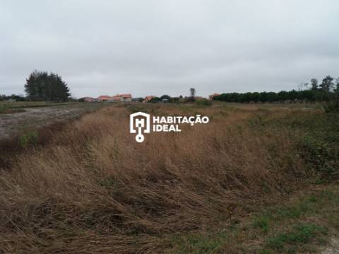 Lote de Terreno