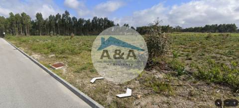 Oportunidade Única: Lote Industrial de Quase 3 Hectares em Zona em Forte Expansão
