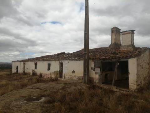 Herdade no Alentejo