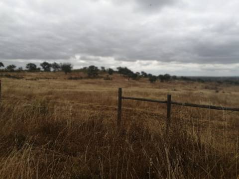Herdade no Alentejo