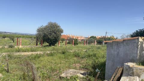 Quintinha em Alcantarilha