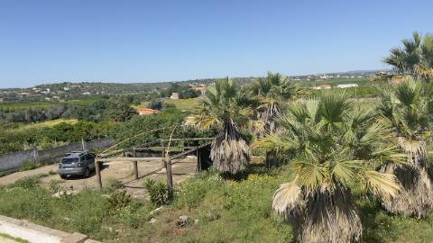 Quintinha em Alcantarilha