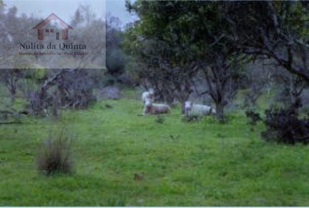 Solar / Quinta em Albufeira