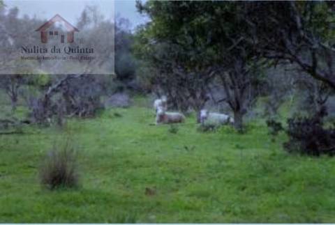 Solar / Quinta em Albufeira