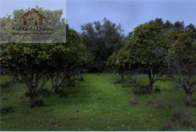 Solar / Quinta em Albufeira