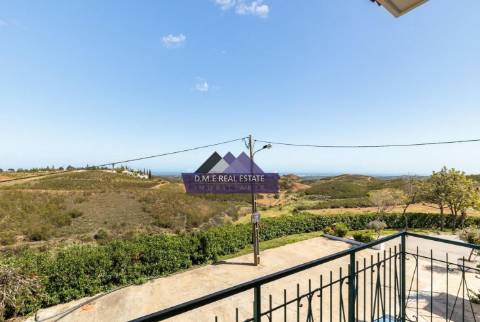 Moradia Independente com Espaço Comercial | Terreno Misto de 4.590 m² | A 12 Minutos de Tavira