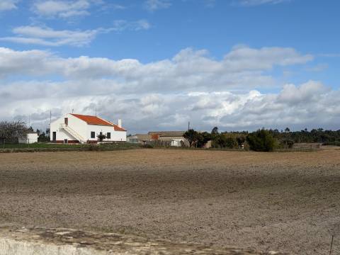 Herdade c/ habitação T2+2 - Aljezur