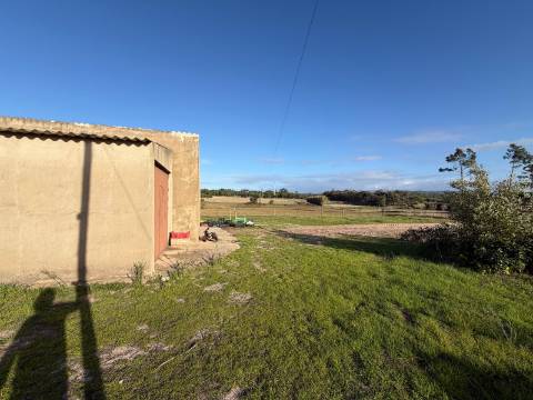 Herdade c/ habitação T2+2 - Aljezur