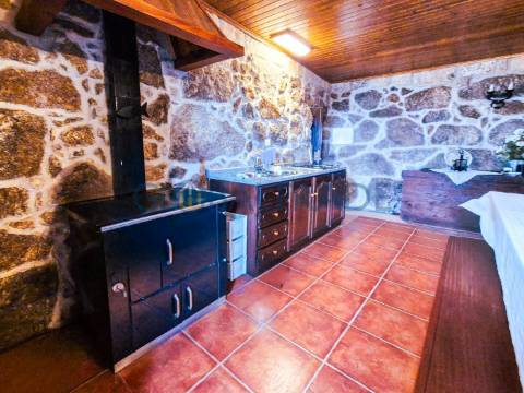 Quinta com 1.595m² vinhas & Moradia T1 em Pedra – Baião