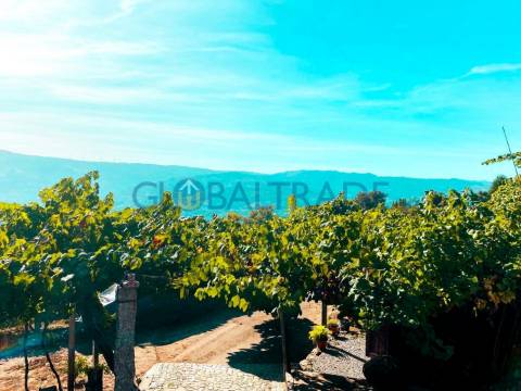 Quinta com 1.595m² vinhas & Moradia T1 em Pedra – Baião