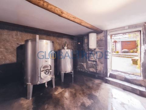 Quinta com 1.595m² vinhas & Moradia T1 em Pedra – Baião