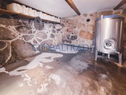 Quinta com 1.595m² vinhas & Moradia T1 em Pedra – Baião