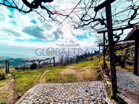 Quinta com 1.595m² vinhas & Moradia T1 em Pedra – Baião