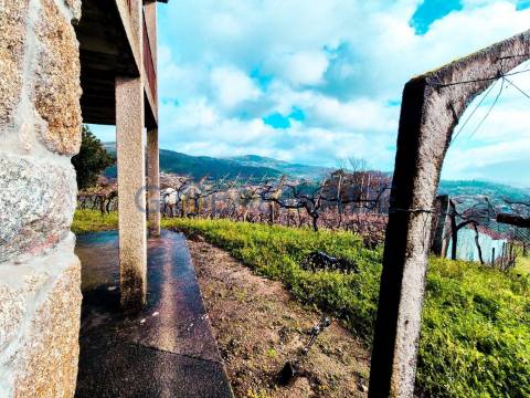 Quinta com 1.595m² vinhas & Moradia T1 em Pedra – Baião
