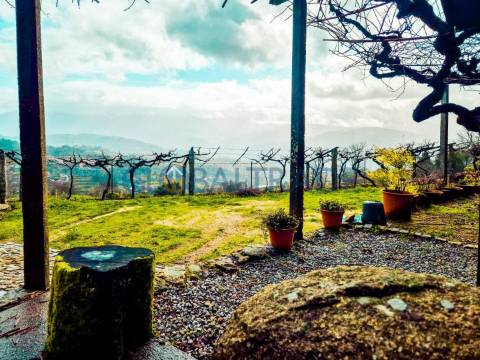 Quinta com 1.595m² vinhas & Moradia T1 em Pedra – Baião