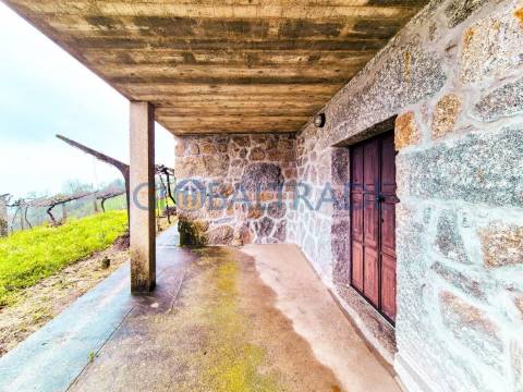 Quinta com 1.595m² vinhas & Moradia T1 em Pedra – Baião