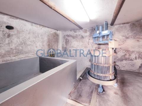 Quinta com 1.595m² vinhas & Moradia T1 em Pedra – Baião