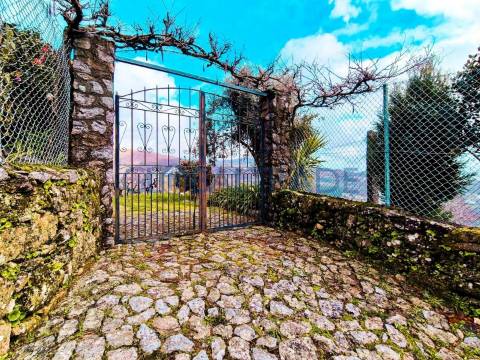 Quinta com 1.595m² vinhas & Moradia T1 em Pedra – Baião