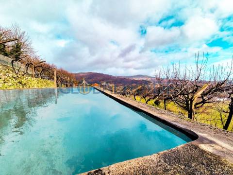 Quinta com 1.595m² vinhas & Moradia T1 em Pedra – Baião