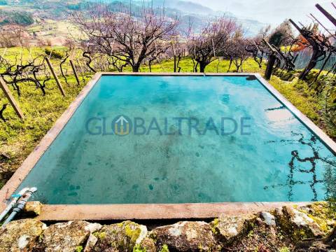 Quinta com 1.595m² vinhas & Moradia T1 em Pedra – Baião