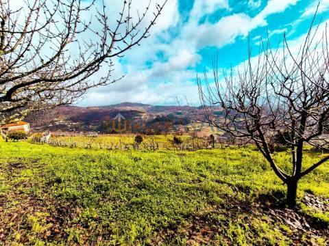 Quinta com 1.595m² vinhas & Moradia T1 em Pedra – Baião