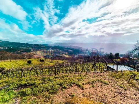 Quinta com 1.595m² vinhas & Moradia T1 em Pedra – Baião