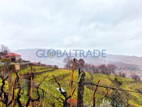 Quinta com 1.595m² vinhas & Moradia T1 em Pedra – Baião