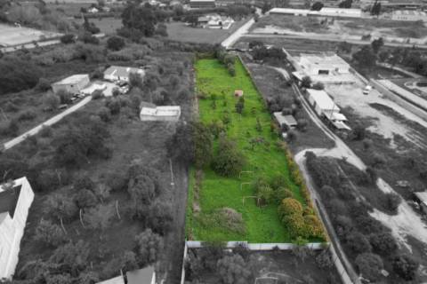 Terreno Para Construção  Venda em Santarém (Marvila), Santa Iria da Ribeira de Santarém, Santarém (São Salvador) e Santarém (São Nicolau),Santarém