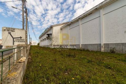 Prédio T6 Venda em Alcanhões,Santarém