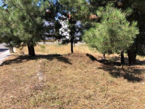 Lote de Terreno  Venda em Abrantes (São Vicente e São João) e Alferrarede,Abrantes