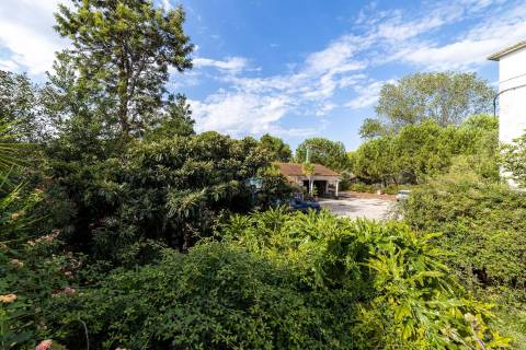 Quinta  Venda em Romeira e Várzea,Santarém