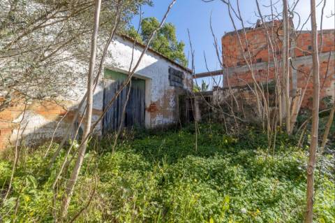 Armazém  Venda em Chamusca e Pinheiro Grande,Chamusca