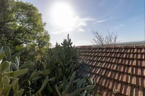 Armazém  Venda em Chamusca e Pinheiro Grande,Chamusca