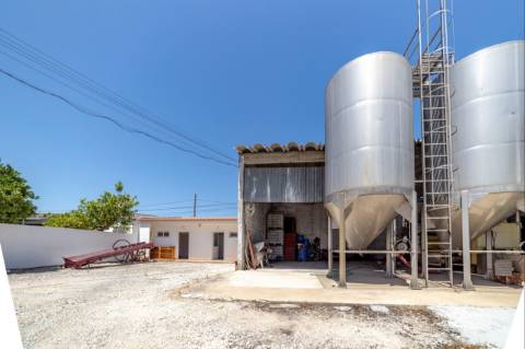 Armazém  Venda em Fazendas de Almeirim,Almeirim