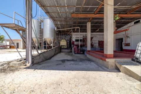 Armazém  Venda em Fazendas de Almeirim,Almeirim