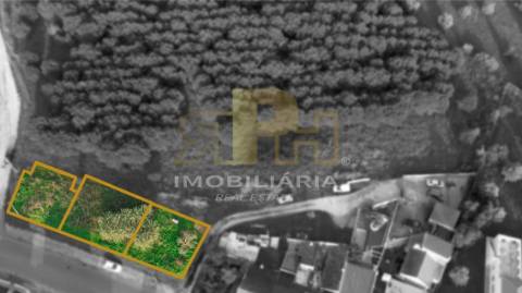 Terreno  Venda em Santarém (Marvila), Santa Iria da Ribeira de Santarém, Santarém (São Salvador) e Santarém (São Nicolau),Santarém