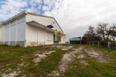 Armazém T6 Venda em Alcanhões,Santarém