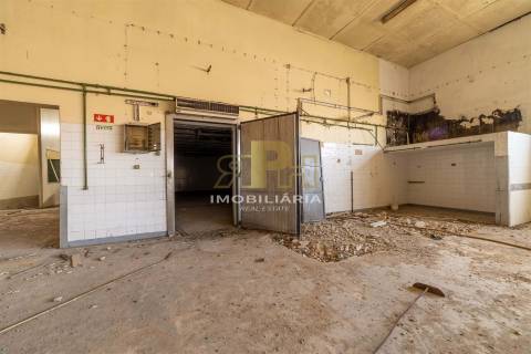 Armazém T6 Venda em Alcanhões,Santarém