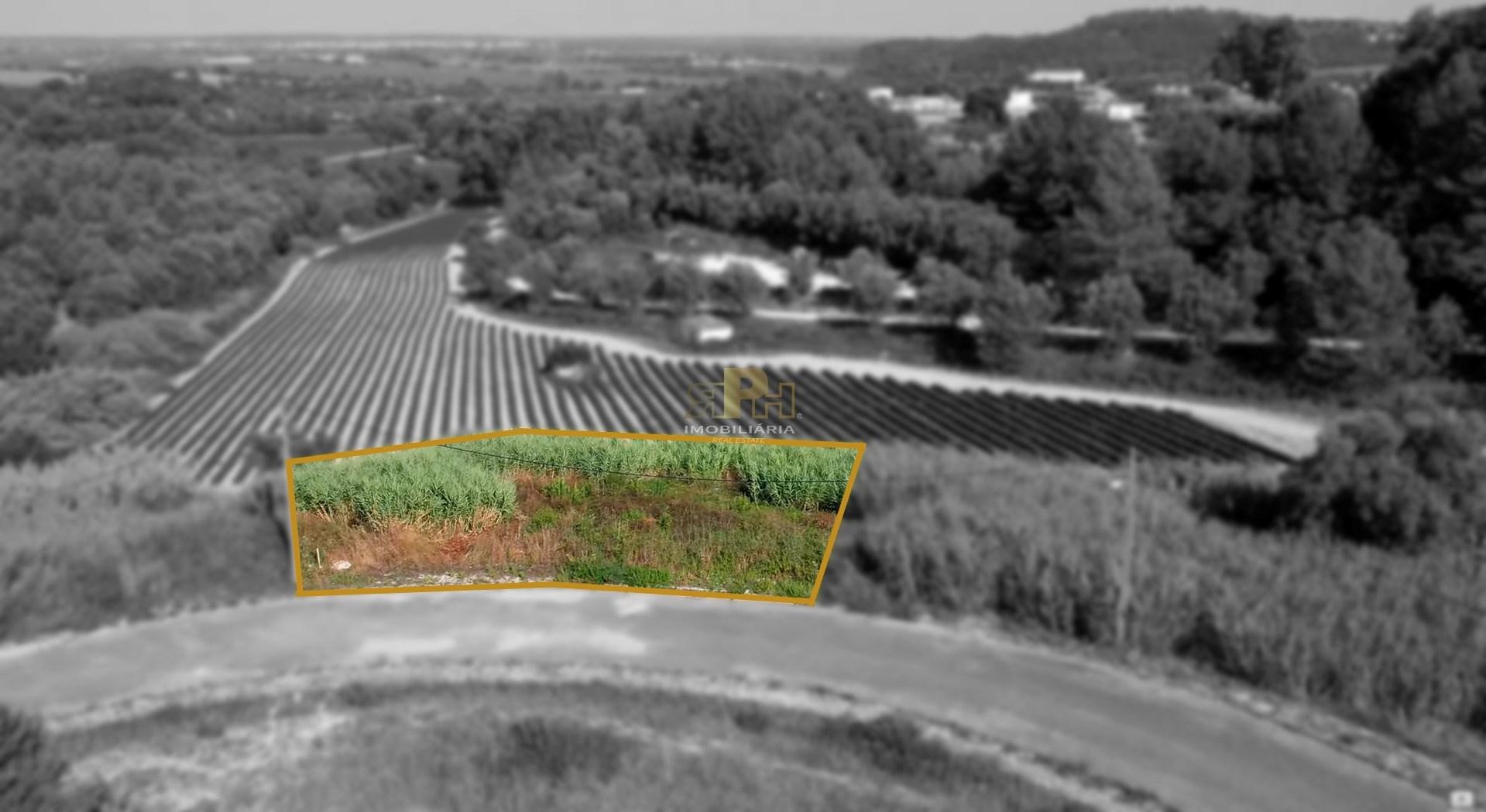 Terreno Urbano  Venda em Santarém (Marvila), Santa Iria da Ribeira de Santarém, Santarém (São Salvador) e Santarém (São Nicolau),Santarém