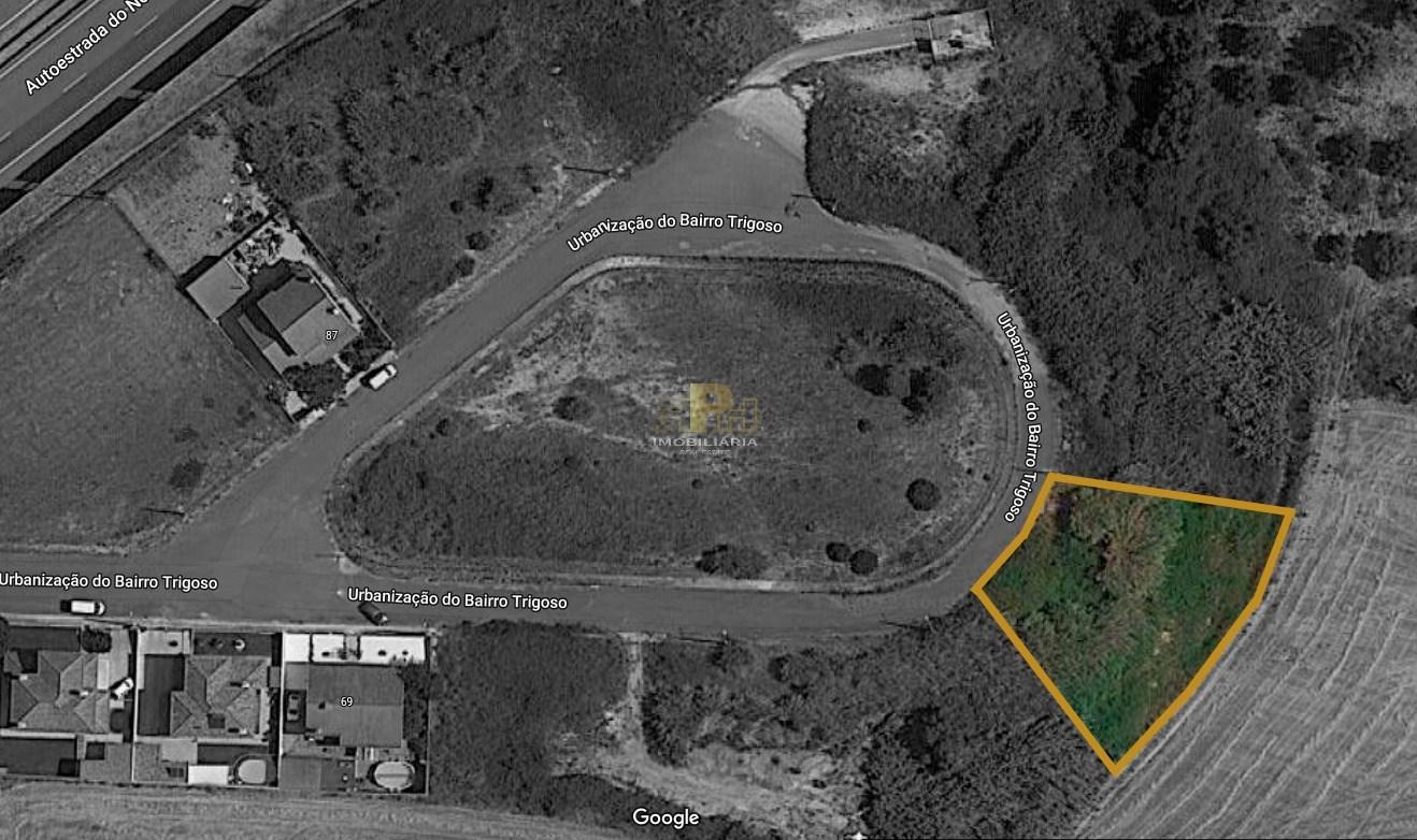 Terreno Urbano  Venda em Santarém (Marvila), Santa Iria da Ribeira de Santarém, Santarém (São Salvador) e Santarém (São Nicolau),Santarém