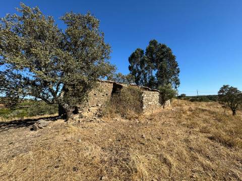 Prédio Misto em Almodôvar - 27 Hectares com Potencial Agrícola e Vista Deslumbrante