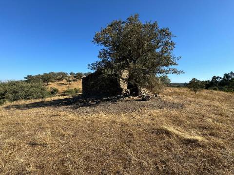 Prédio Misto em Almodôvar - 27 Hectares com Potencial Agrícola e Vista Deslumbrante