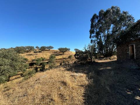 Prédio Misto em Almodôvar - 27 Hectares com Potencial Agrícola e Vista Deslumbrante